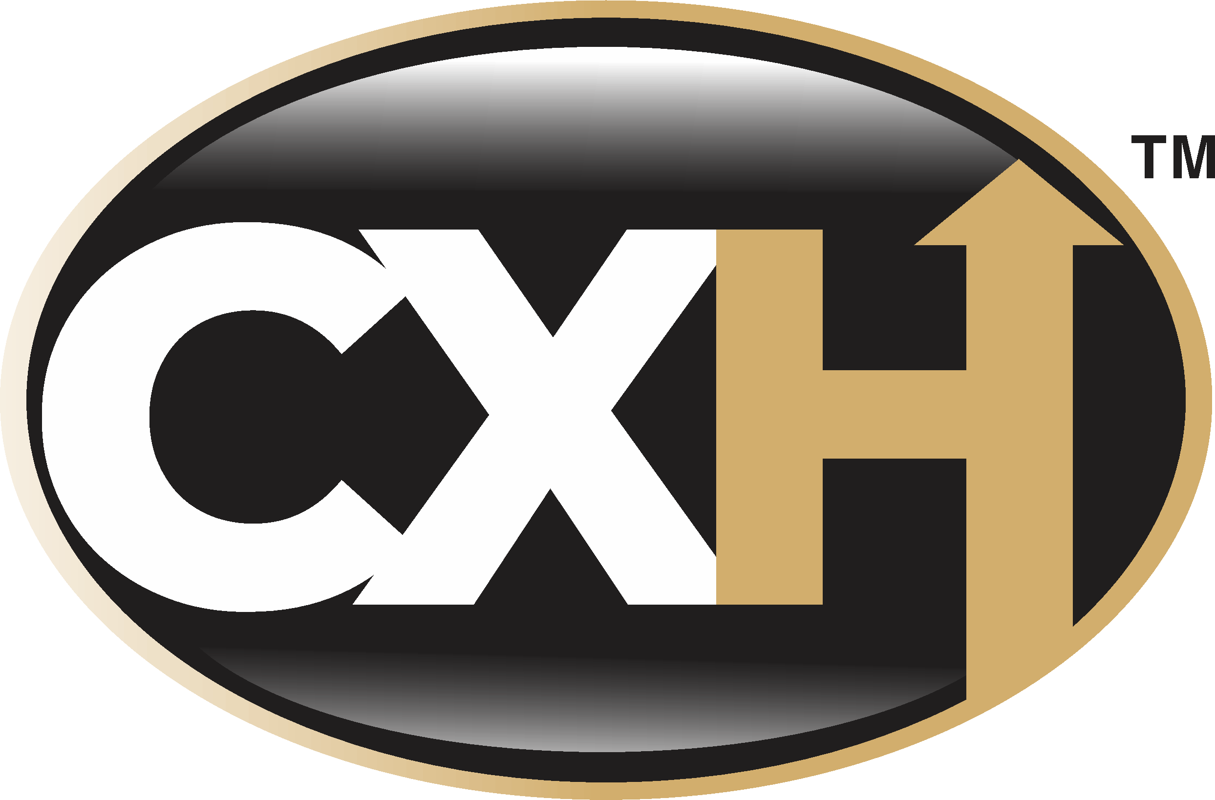 Customer Experience Hub Logo